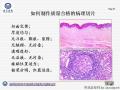 组织制备技术标准化规范化流程的建立图22