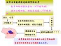 病理学1--第一章 细胞和组织的适应与损伤（1）图22