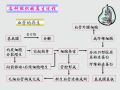 病理学2-第二章 损伤的修复图9