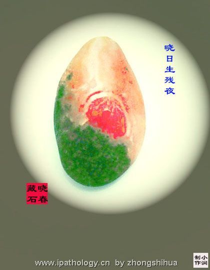 华夏多锦绣，奇石孕精华（转）图3