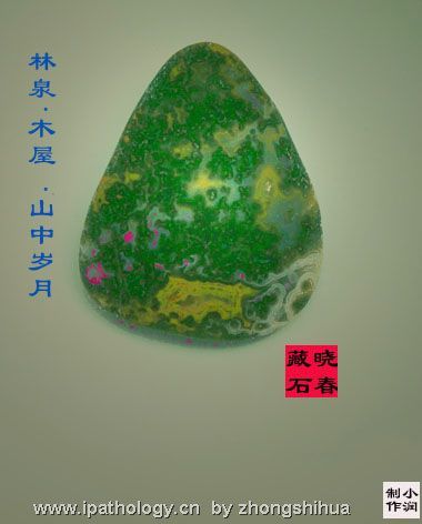 华夏多锦绣，奇石孕精华（转）图5