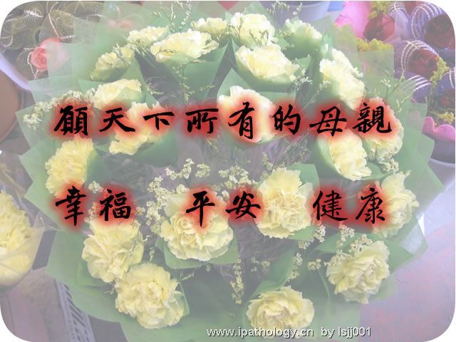 亲爱的妈妈，节日快乐！图1