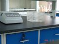 病理科技术室建设和工作流程－附免疫室图片图4