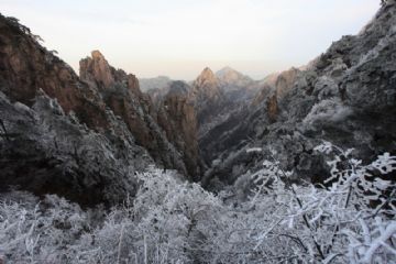 刚去黄山玩了一天图10