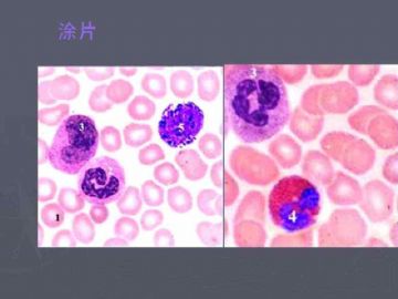 庆贺新版开坛，施法~【091115】图7