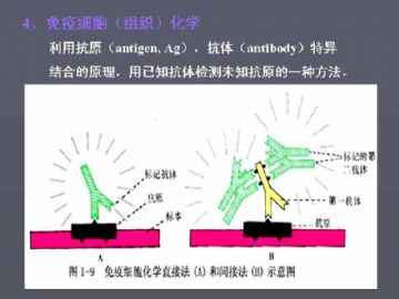 庆贺新版开坛，施法~【091115】图12