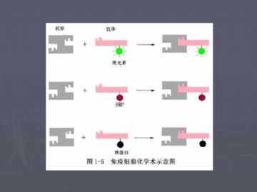 庆贺新版开坛，施法~【091115】图13