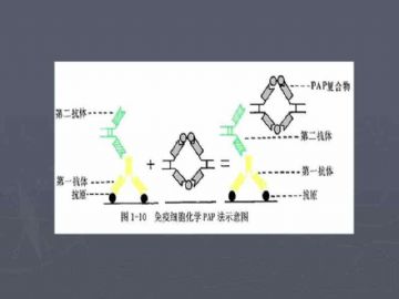 庆贺新版开坛，施法~【091115】图14