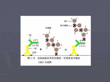 庆贺新版开坛，施法~【091115】图15