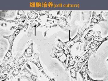 庆贺新版开坛，施法~【091115】图17