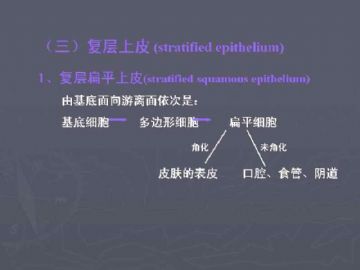 庆贺新版开坛，施法~【091115】图35