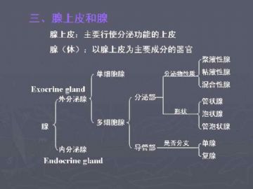 庆贺新版开坛，施法~【091115】图40