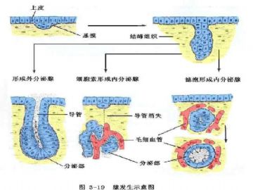 庆贺新版开坛，施法~【091115】图41