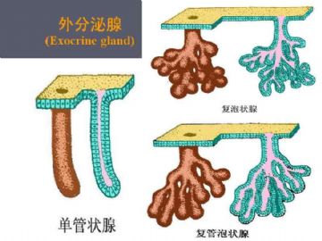 庆贺新版开坛，施法~【091115】图42