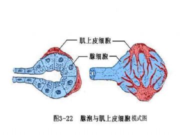 庆贺新版开坛，施法~【091115】图43