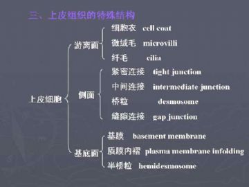 庆贺新版开坛，施法~【091115】图45