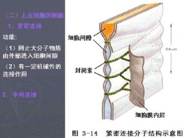 庆贺新版开坛，施法~【091115】图51