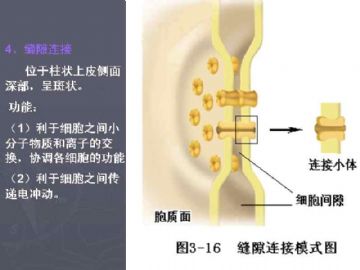 庆贺新版开坛，施法~【091115】图53