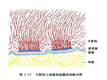 庆贺新版开坛，施法~【091115】图56