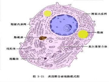 庆贺新版开坛，施法~【091115】图60