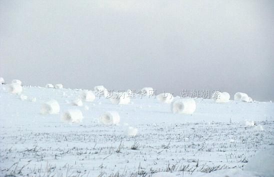 请欣赏,雪卷奇景!图4