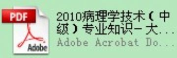 最全的2010病理学与病理学技术（中）晋级资料图4