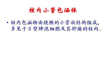 细胞核的形态学在诊断病理学中的意义(四）图14