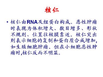 细胞核的形态学在诊断病理学中的意义(四）图17