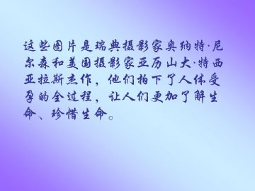 ZT-胚胎学-人体受孕全过程（图片）图2