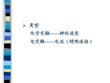 组织胚胎学-神经组织（图片）图15