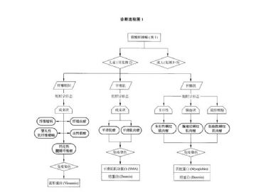 ZT:软组织肿瘤诊断流程图图1