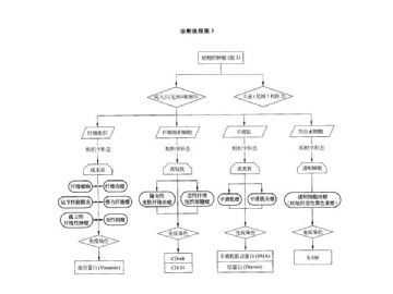 ZT:软组织肿瘤诊断流程图图3