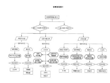 ZT:软组织肿瘤诊断流程图图5