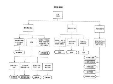 ZT:胃肠疾病病理诊断流程图图2