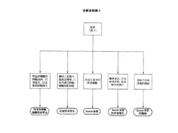 ZT:胃肠疾病病理诊断流程图图3