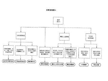 ZT:胃肠疾病病理诊断流程图图4