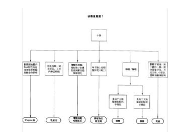 ZT:胃肠疾病病理诊断流程图图7