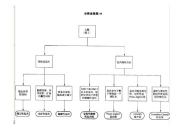 ZT:胃肠疾病病理诊断流程图图10