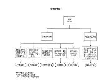 ZT:胃肠疾病病理诊断流程图图11