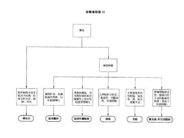 ZT:胃肠疾病病理诊断流程图图12