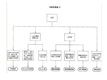 ZT:胃肠疾病病理诊断流程图图13