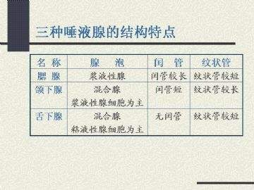 组织胚胎学-消化系统2（图片）图15