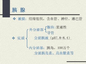 组织胚胎学-消化系统2（图片）图18