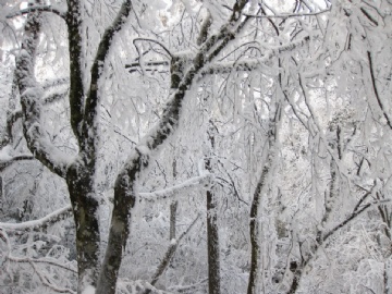 天上人间，雪的王国图2