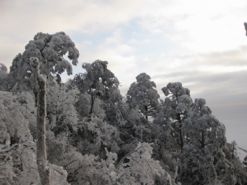 天上人间，雪的王国图5