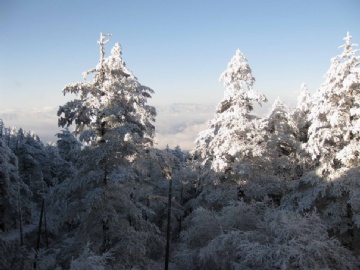 天上人间，雪的王国图11