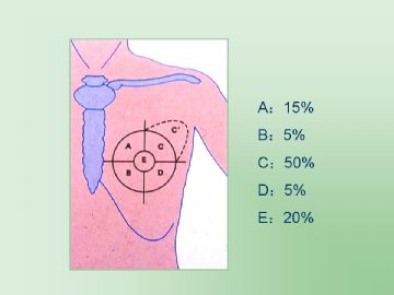 乳腺组织学图5