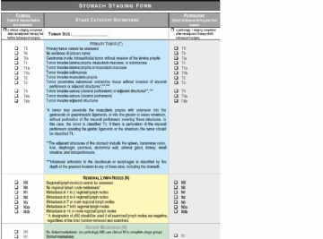 STOMACH STAGING FORM图1