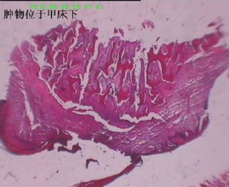 求各位版主及老师们来帮忙看下，学生真的很急！！谢谢谢谢！图1