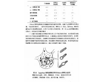 《病理医师问答6》图2